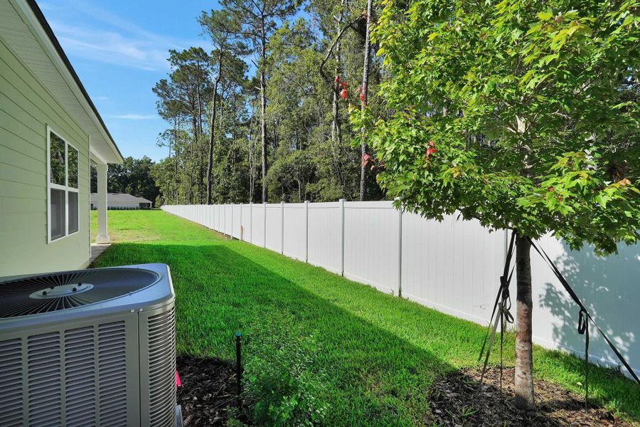 The Hilton II Back Yard The Hilton II Back Yard