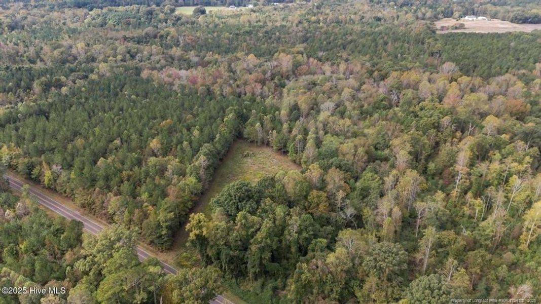 1435 Pineywood Church Road - 9.13 Acres 1435 Pineywood Church Road - 9.13 Acres