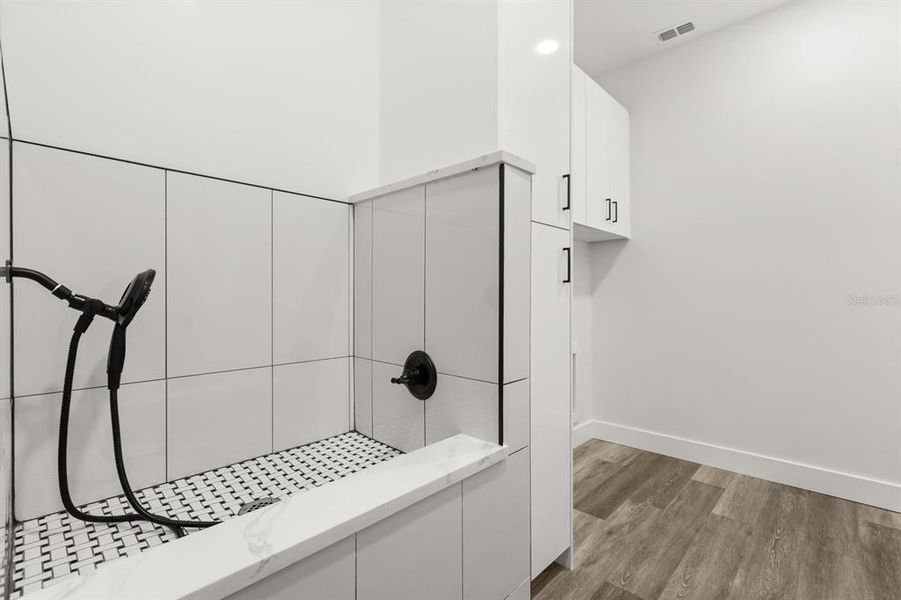 Laundry Room with Pet Shower