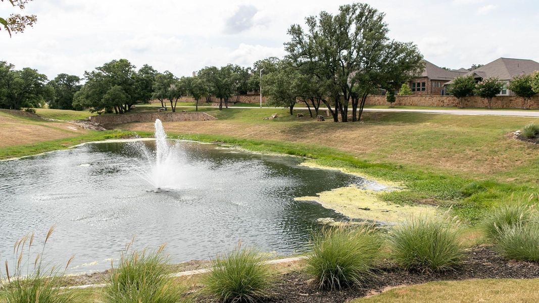 Natural landscape and outdoor views near Palmera Ridge in Leander (Image 6).