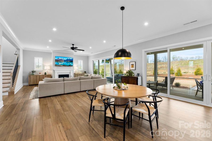 Furnished interior view inside a new home in , Belmont (Image 24).