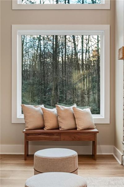 Furnished interior view inside a new home in , Ellijay (Image 43).