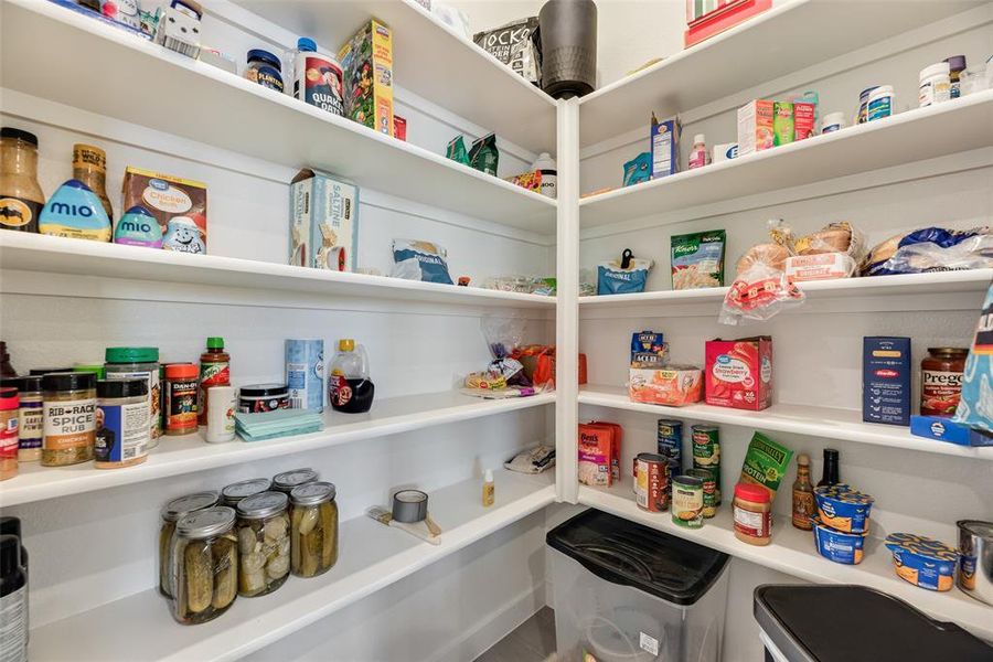 Large walk in Pantry with lighting