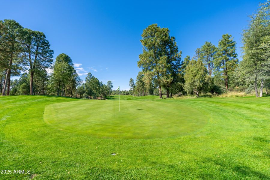 Chaparral Pines - 12