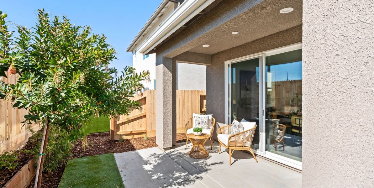 1440x724 Waterlily Backyard 1440x724 Waterlily Backyard