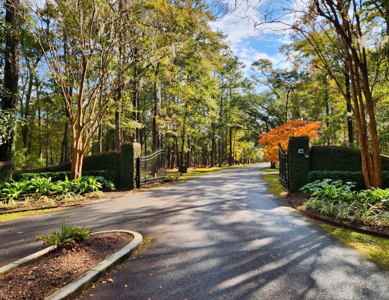 Natural landscape and outdoor views near  in Seabrook (Image 82).