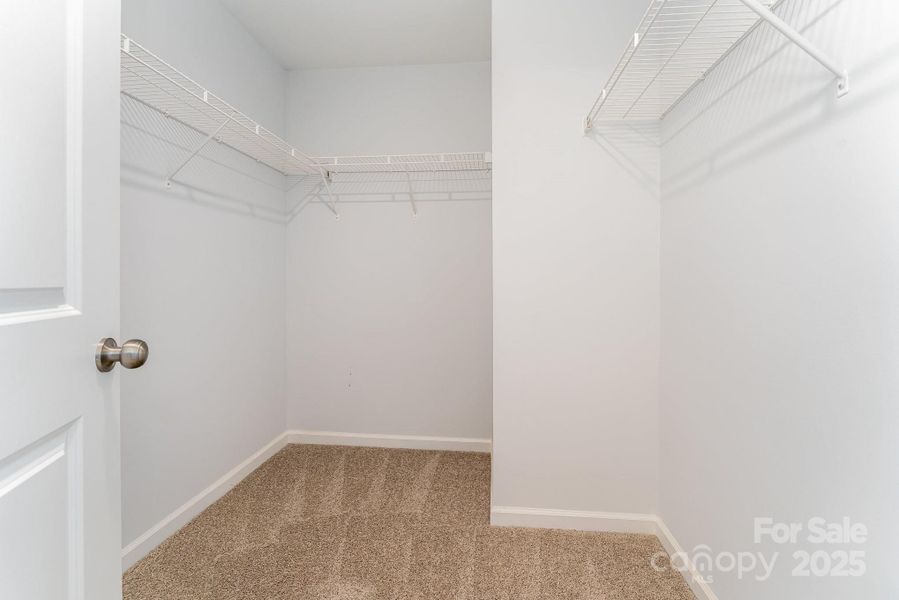 Representational Photo Only