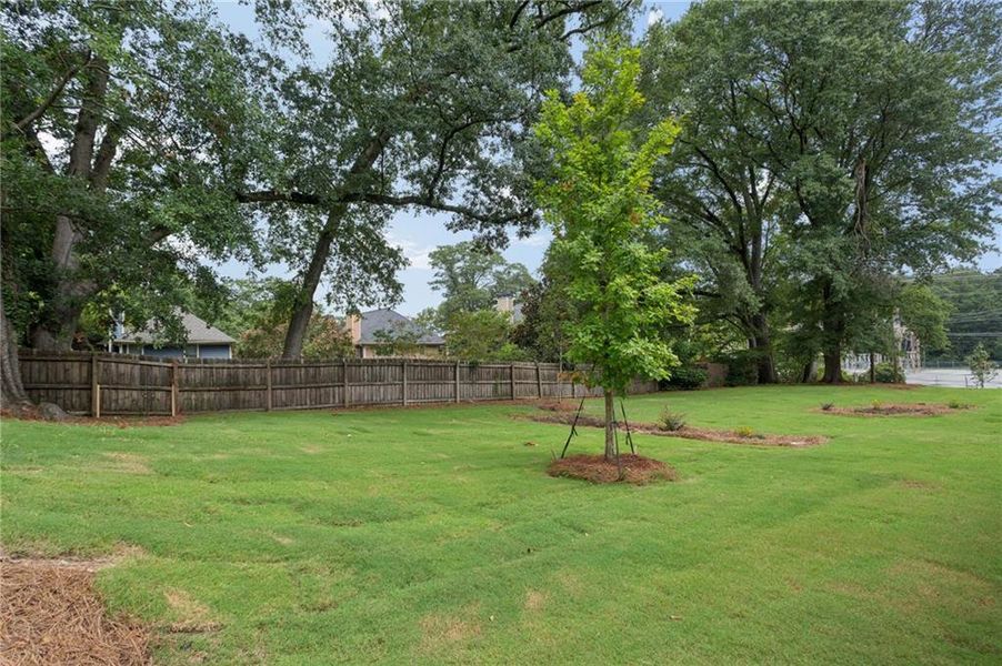 Natural landscape and outdoor views near in Atlanta (Image 38). Natural landscape and outdoor views near in Atlanta (Image 38).