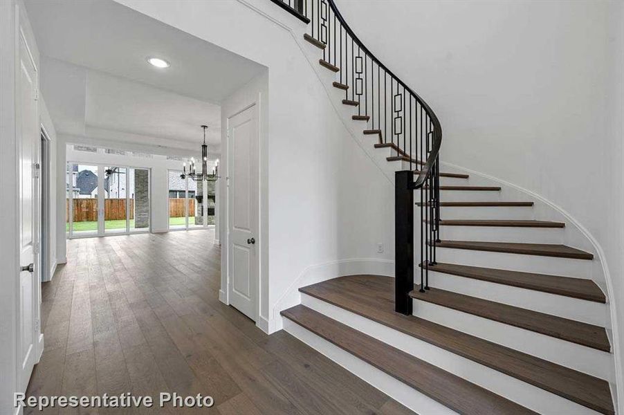 Entry (Representative Photo) Entry (Representative Photo)