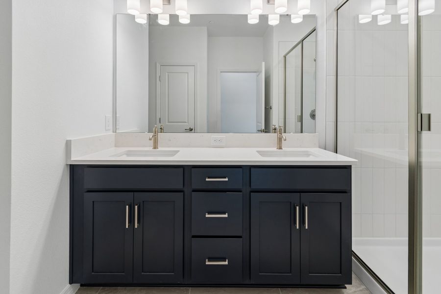 Owner's Bath