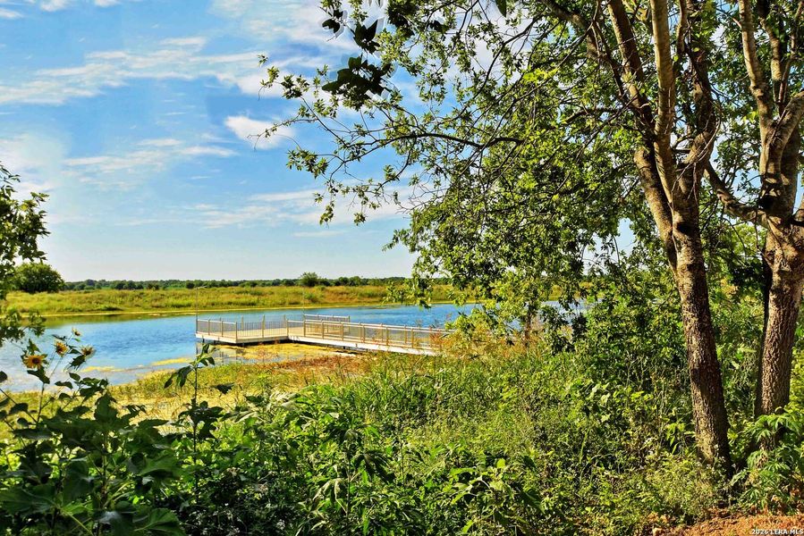Natural landscape and outdoor views near Luckey Ranch in San Antonio (Image 33).