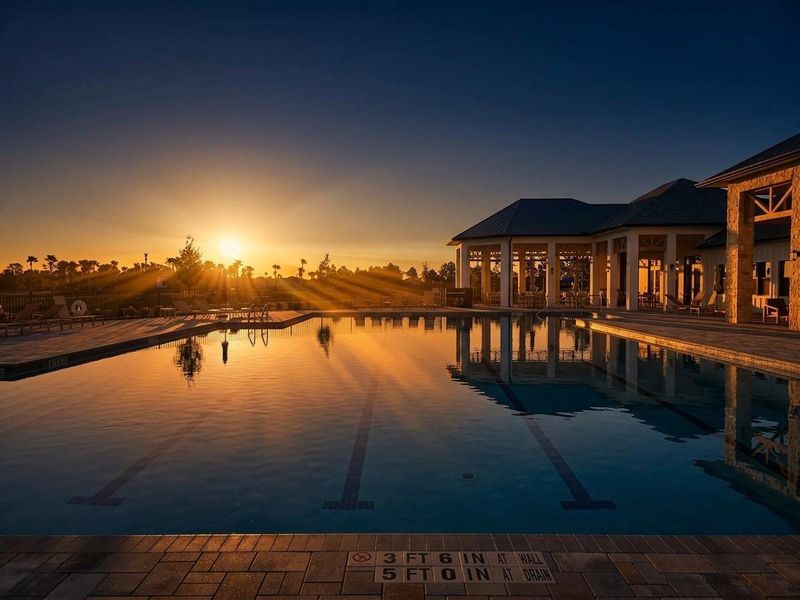 pooltwighlight