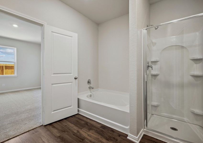Step-in shower and soaking tub in the master bathroom