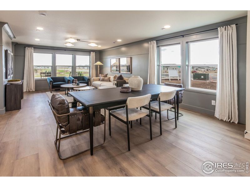 EXAMPLE PHOTO: DINING AND LIVING ROOM