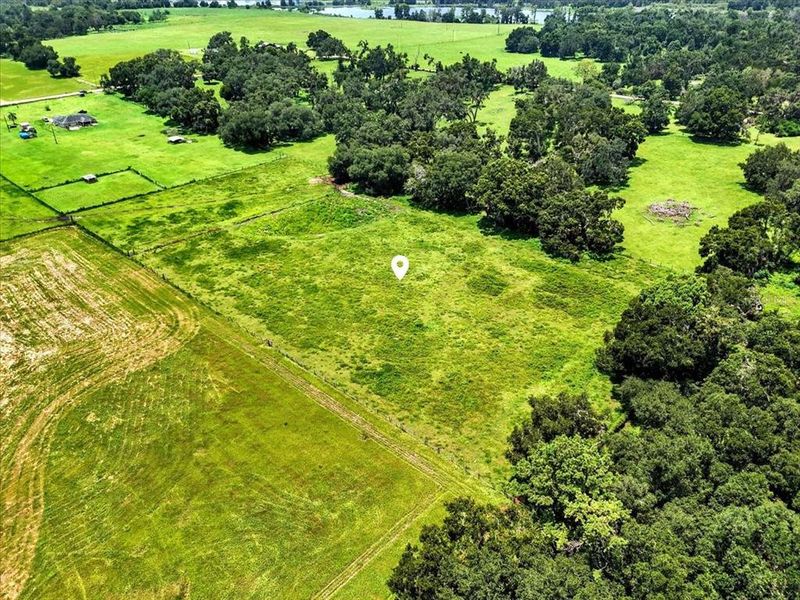 Natural landscape and outdoor views near  in Dade City (Image 18).