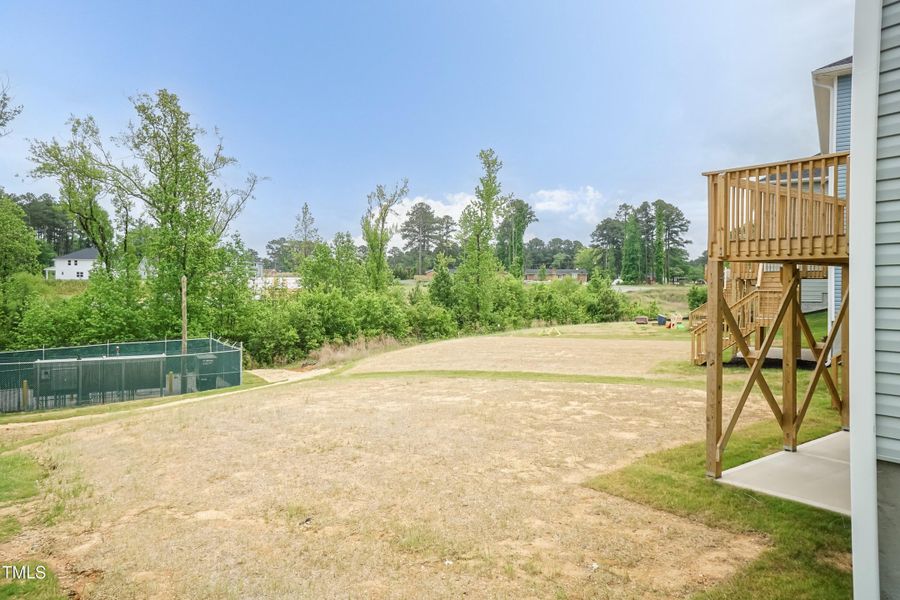 Back Yard 02 Back Yard 02