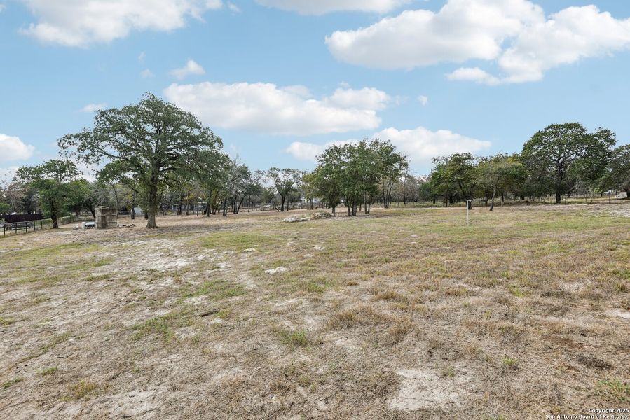 Natural landscape and outdoor views near  in Adkins (Image 39).