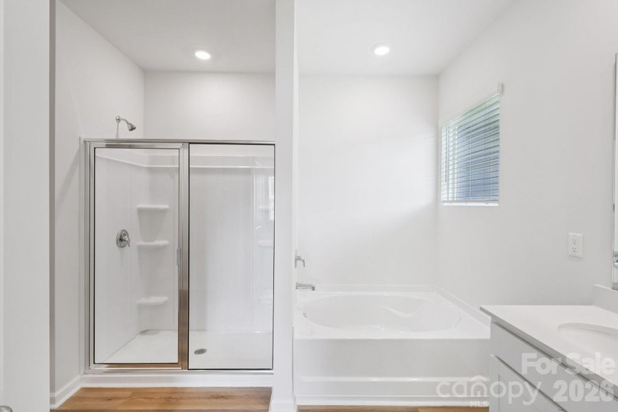 Photos are representative