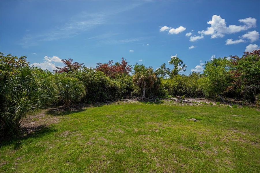 Natural landscape and outdoor views near  in Port Charlotte (Image 49).