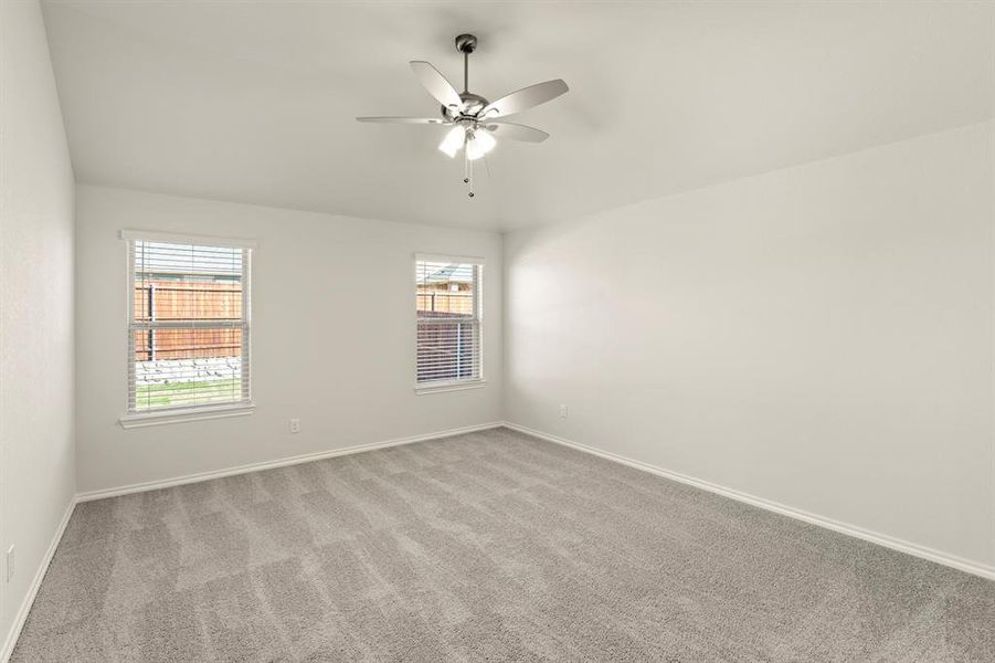 18. 116 Coyote - Primary 18. 116 Coyote - Primary