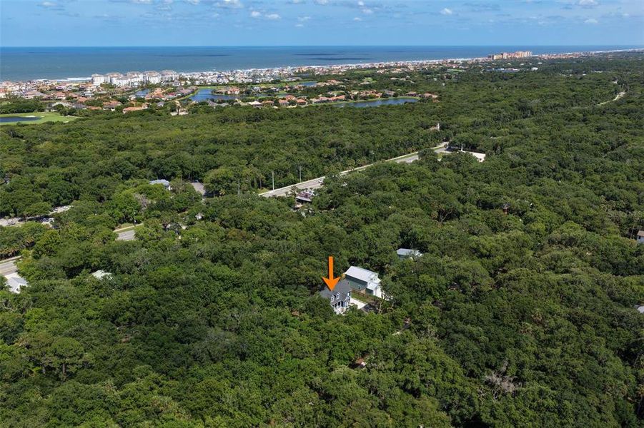 Natural landscape and outdoor views near in Palm Coast (Image 59). Natural landscape and outdoor views near in Palm Coast (Image 59).