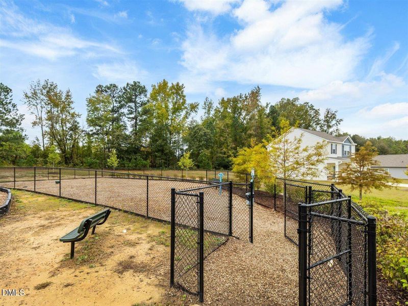 67-Dog Park at Atherstone