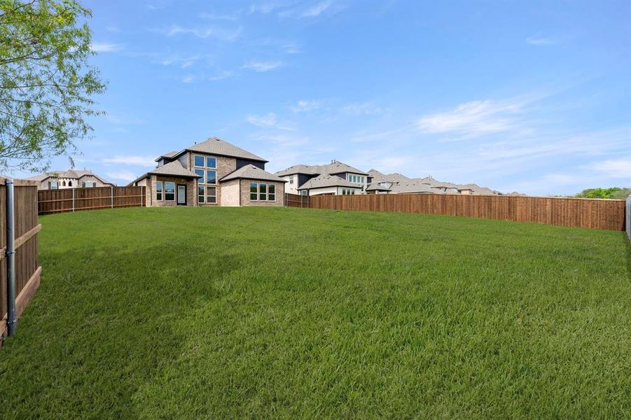 27. 941 Gold Finch - Back (2)