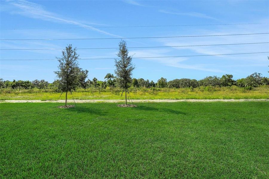 Natural landscape and outdoor views near Willowbrook North in Winter Haven (Image 29).
