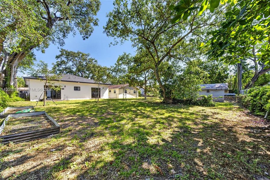 Natural landscape and outdoor views near  in Miami (Image 30).