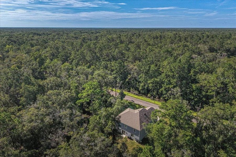 Natural landscape and outdoor views near Flagler Estates in Hastings (Image 60).