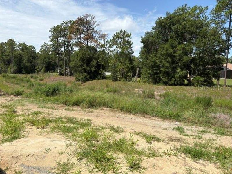 Natural landscape and outdoor views near Juliette Falls in Dunnellon (Image 10). Natural landscape and outdoor views near Juliette Falls in Dunnellon (Image 10).
