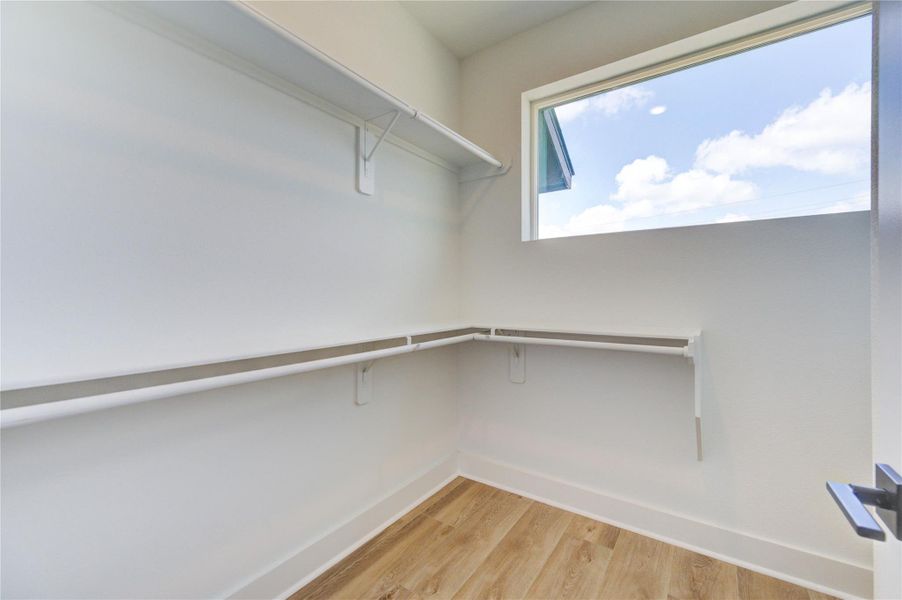 Closet with all natural lighting and shelving. Closet with all natural lighting and shelving.
