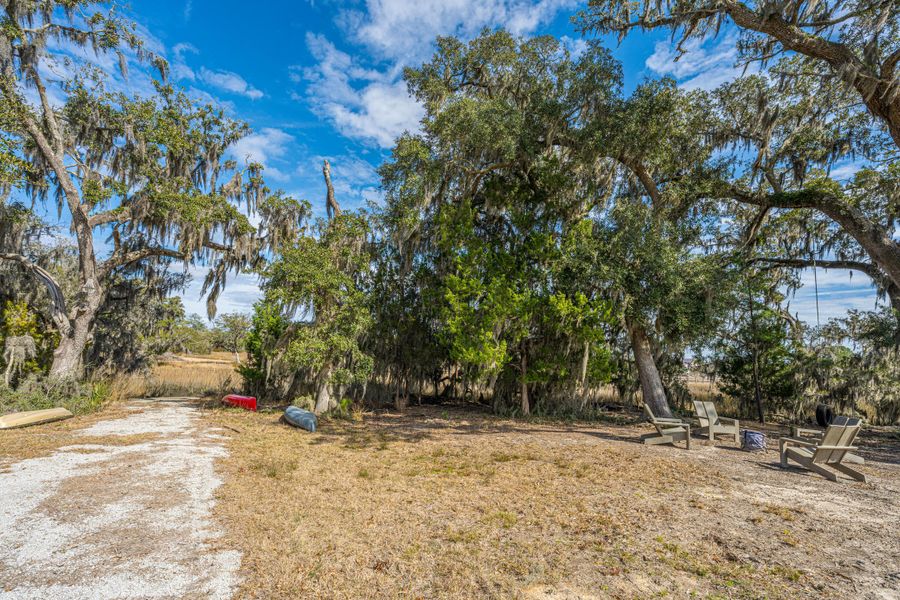 Natural landscape and outdoor views near in Johns Island (Image 71). Natural landscape and outdoor views near in Johns Island (Image 71).