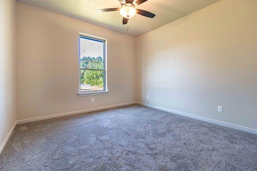 Empty room featuring carpet floors and a ceiling fan