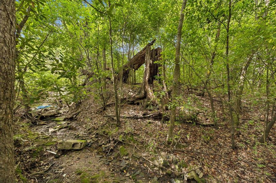 Natural landscape and outdoor views near  in Canton (Image 30).
