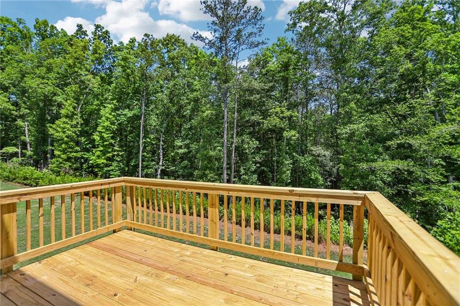 Exterior details and patio area of a home in The Pointe at Heron Bay, Locust Grove (Image 4).