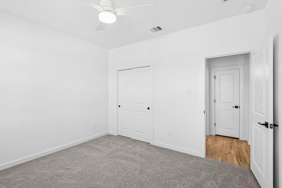 Extra Suite Extra Suite