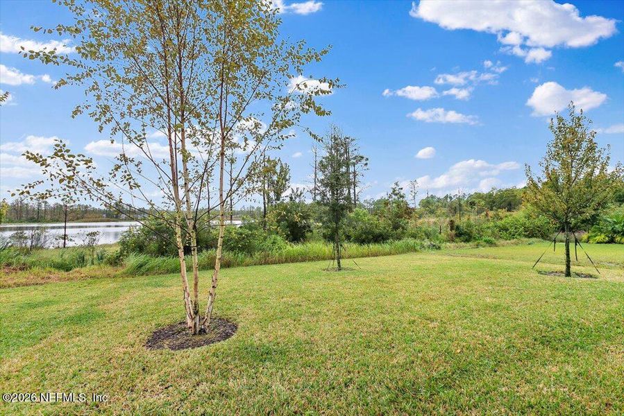 Natural landscape and outdoor views near in Palm Coast (Image 28). Natural landscape and outdoor views near in Palm Coast (Image 28).