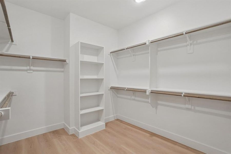 Spacious closet featuring light wood finished floors