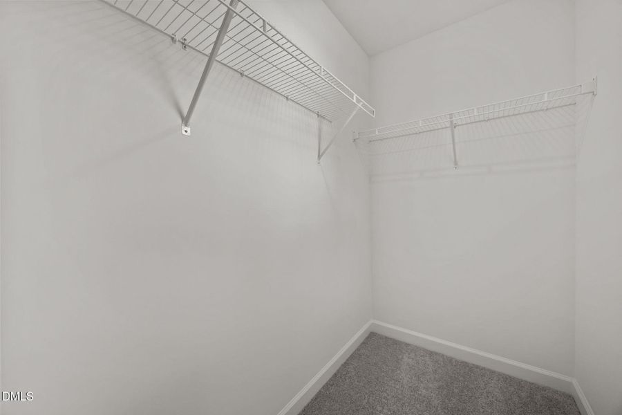 43-web-or-mls-IMG_2364