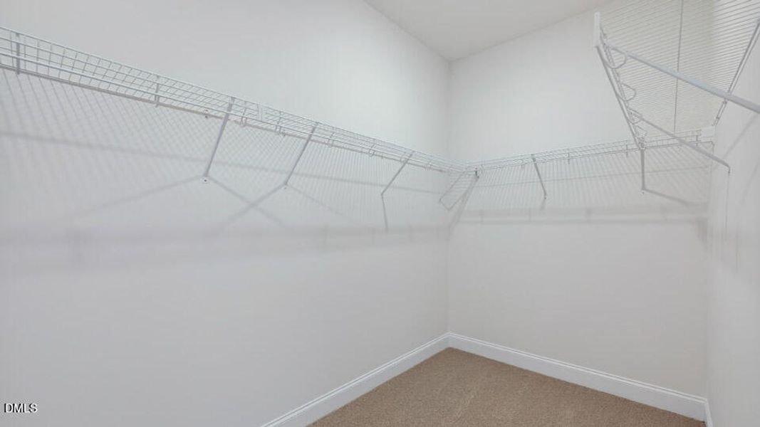 36 Pink Iris Ct Clayton26