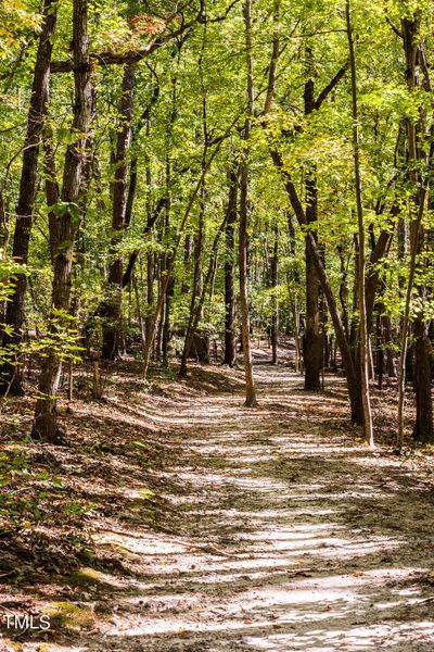 Raven Rock State Park (6)