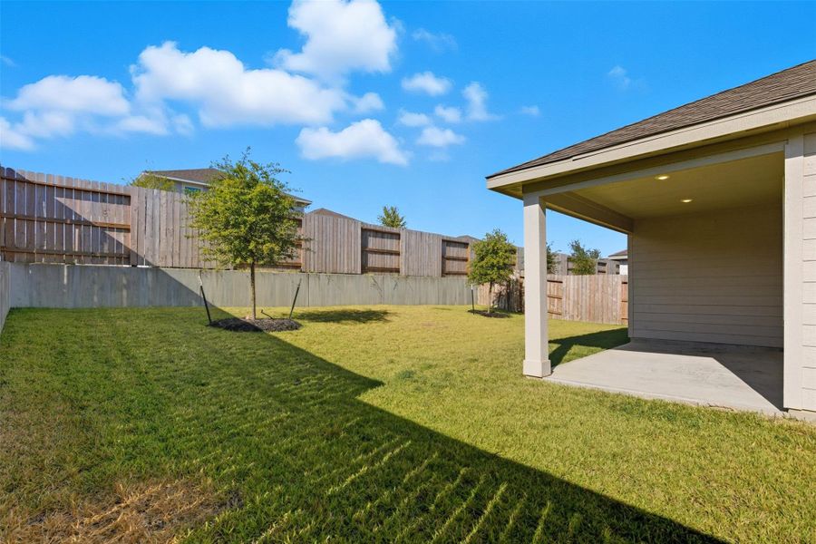 Large Backyard w/ Covered Patio Large Backyard w/ Covered Patio