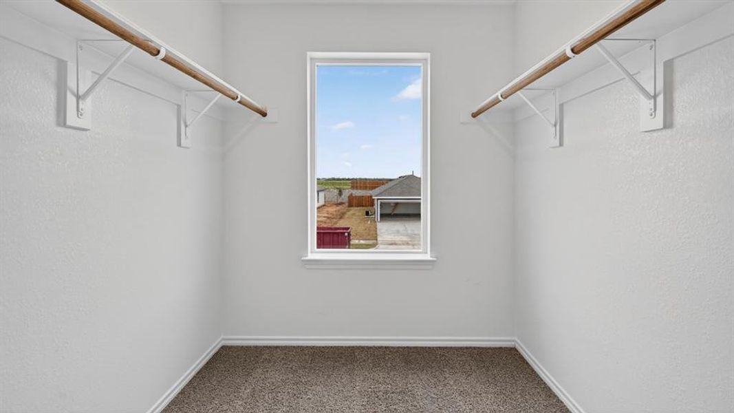 Walk-in closet with window, featuring dual hanging rods, white trim, and neutral carpeting