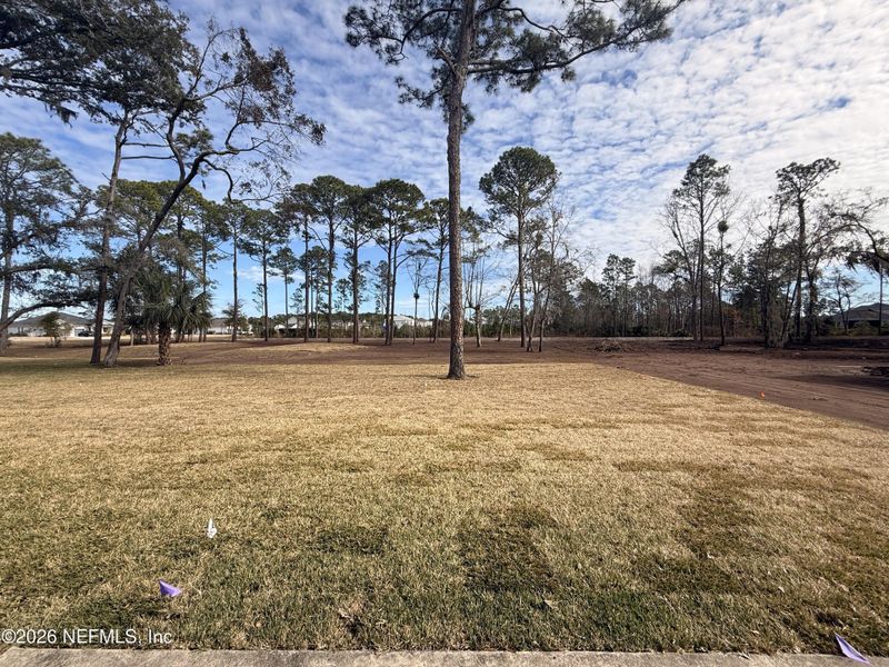 Natural landscape and outdoor views near in Fernandina Beach (Image 18). Natural landscape and outdoor views near in Fernandina Beach (Image 18).