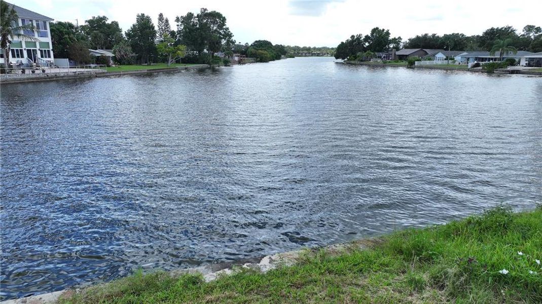 Natural landscape and outdoor views near  in Safety Harbor (Image 17).