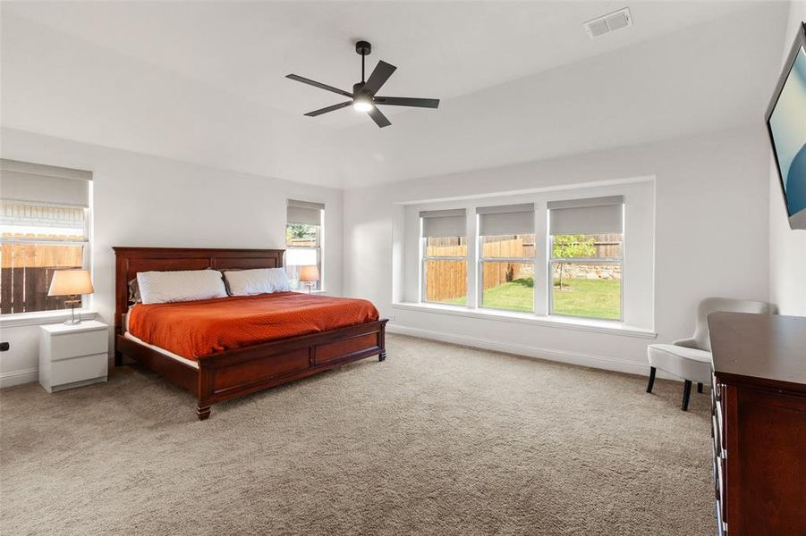 Carpeted bedroom featuring multiple windows and ceiling fan