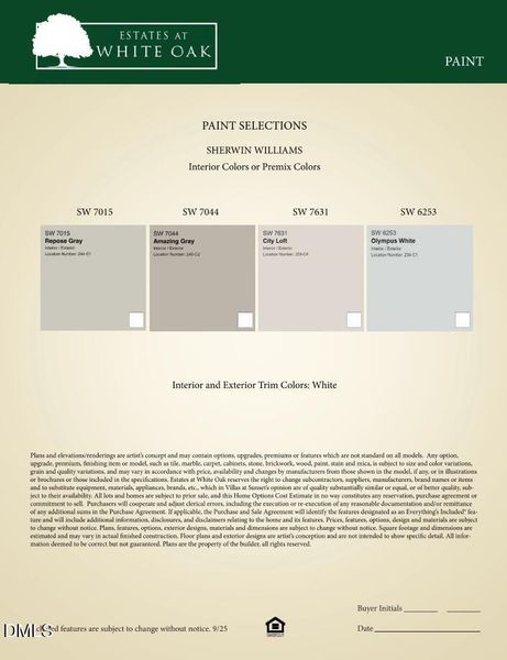 Options Paint