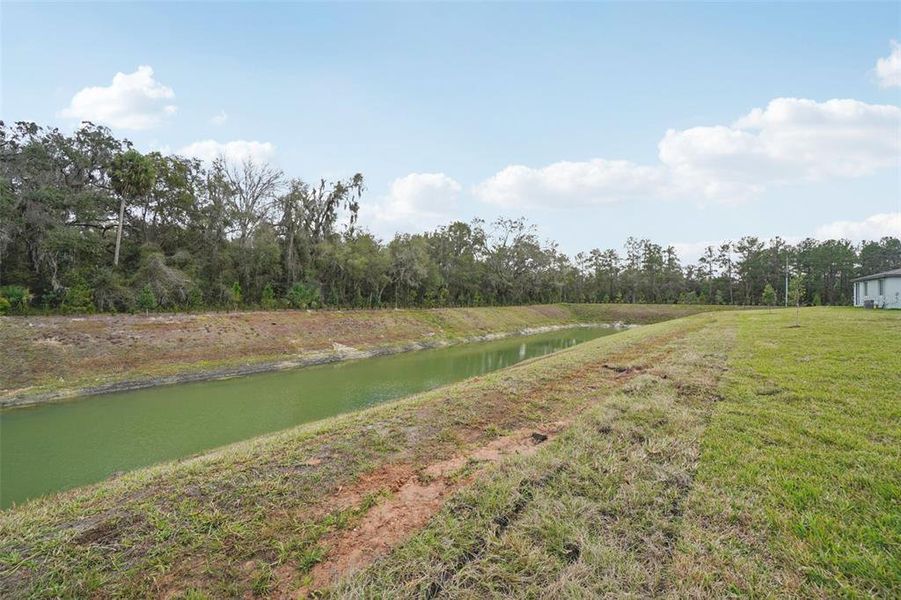 Natural landscape and outdoor views near Leyland Preserve - Classic Series in Brooksville (Image 42).