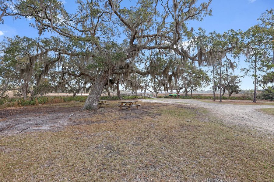 Natural landscape and outdoor views near Rivers Reach in Yemassee (Image 51). Natural landscape and outdoor views near Rivers Reach in Yemassee (Image 51).
